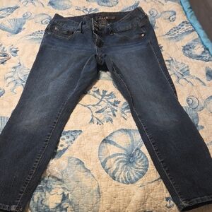 Torrid Dark Blue Skinny Jeans